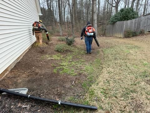 🏢 Commercial Lawn Maintenance