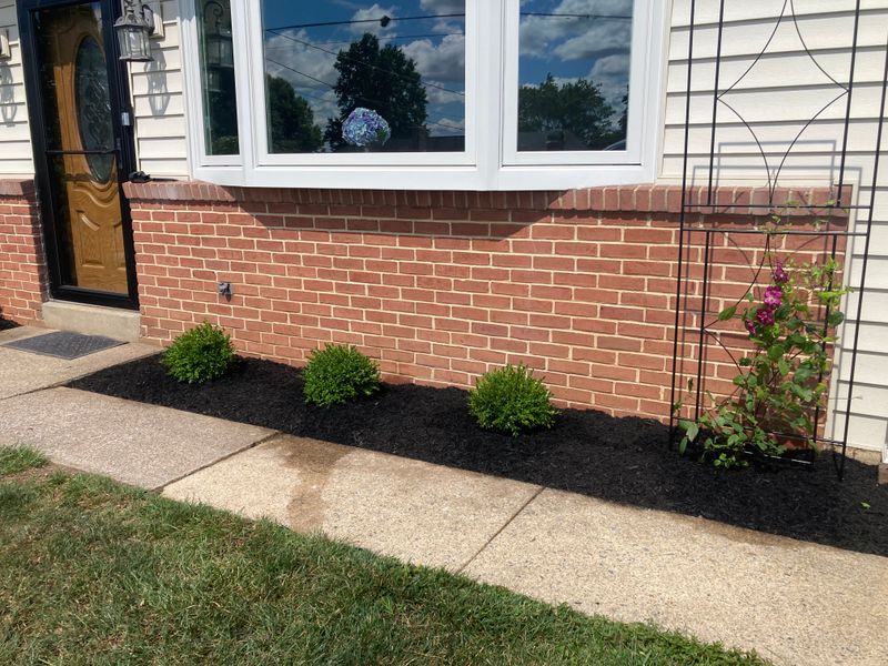 Landscape Design