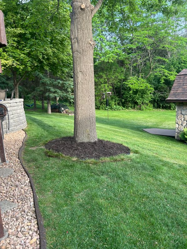 Sod Replacement & Laying