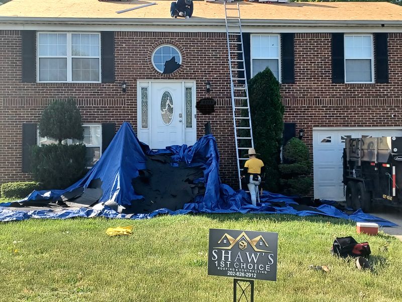Shingle Roof Replacement