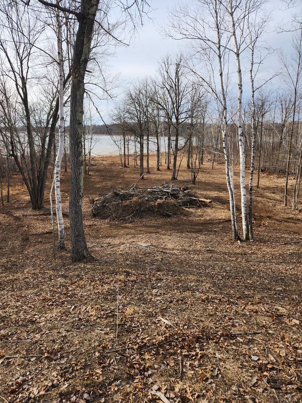 Forestry Mulching & Brush Mowing