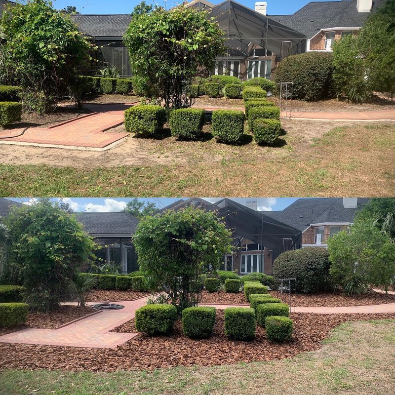Landscape Cleanup