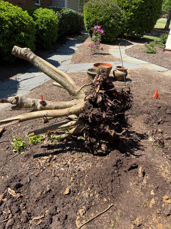 Planting