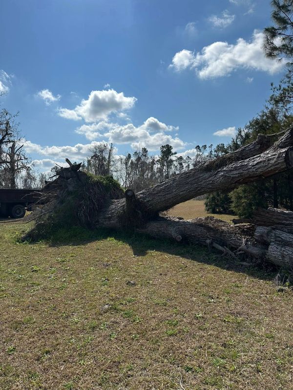 Land Clearing & Demolition