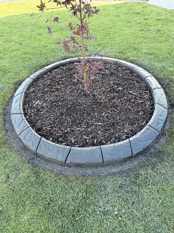 Landscape curbing projects