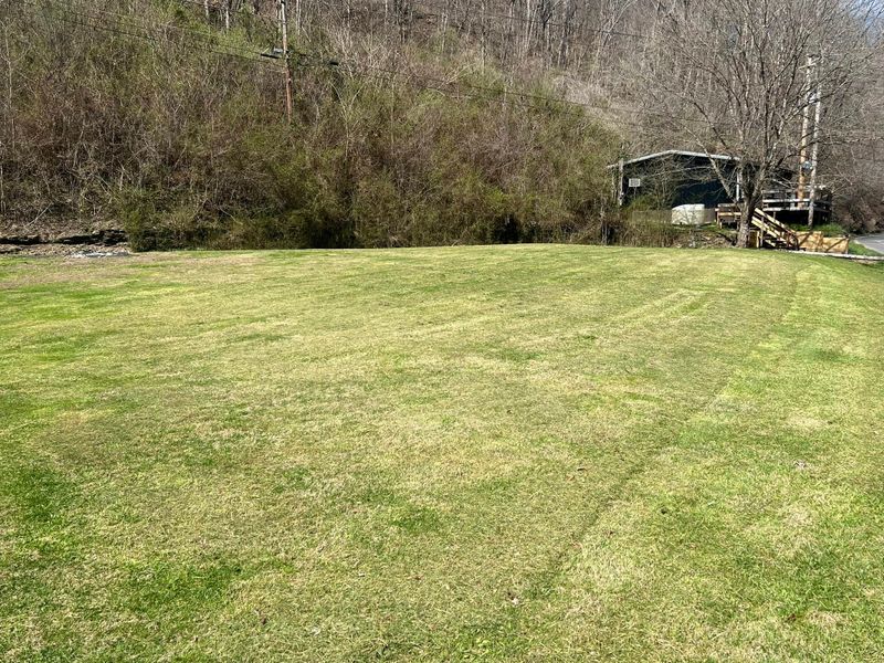 Lawn Maintenance