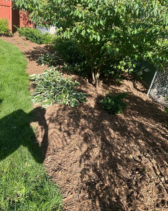 Mulching