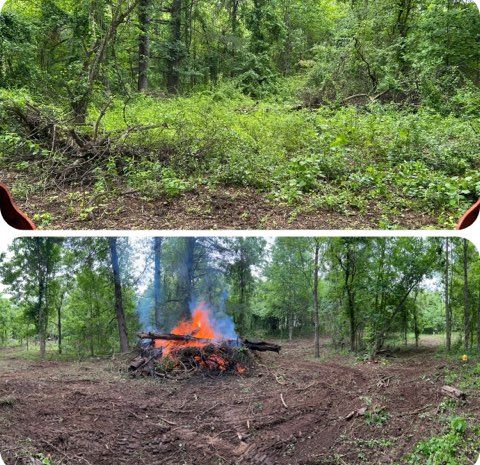 Sewanee Serenity: Expert Land Clearing and Burn Pile Removal by McBee’s Tree Service
