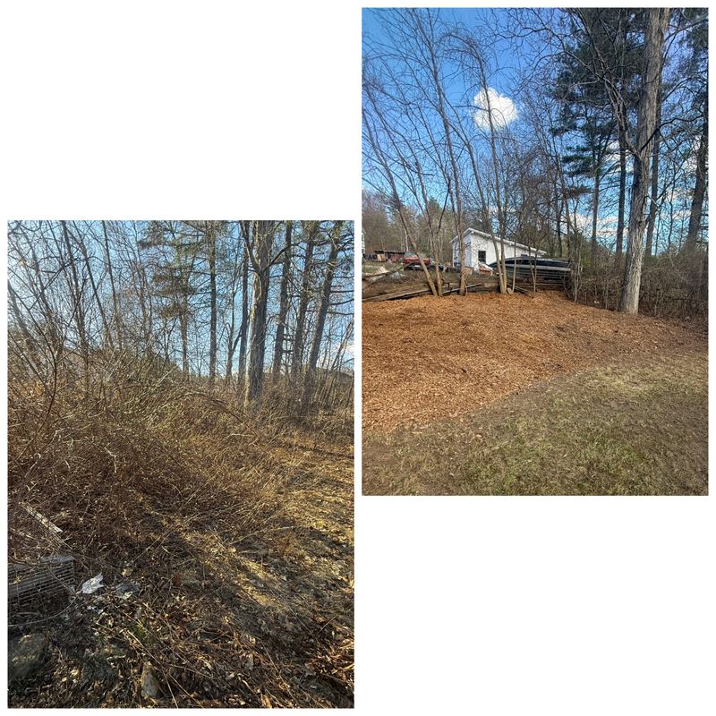 Brush Removal