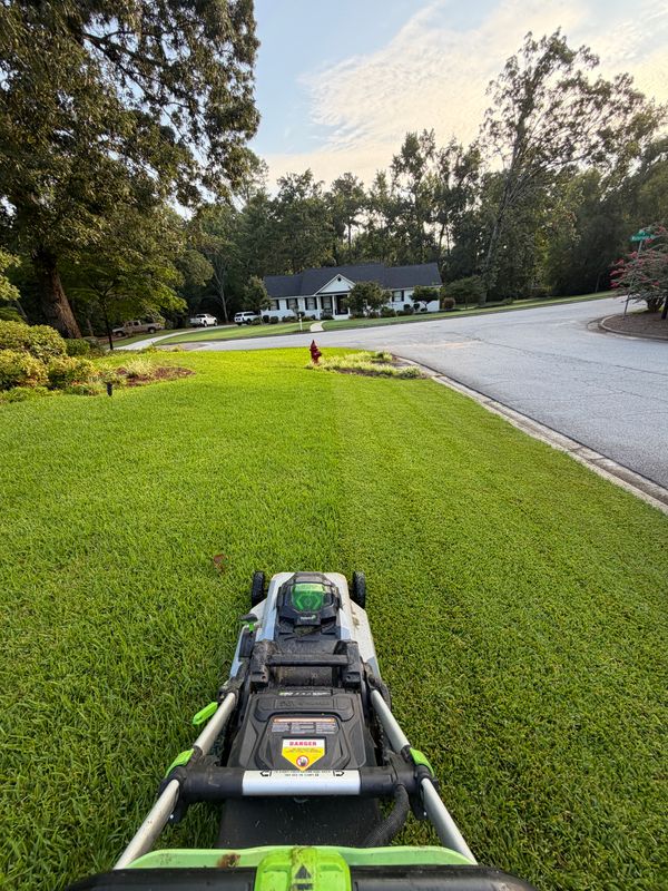 Lawn Maintenance