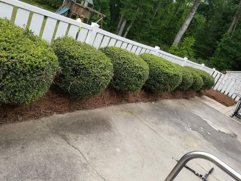 Landscaping