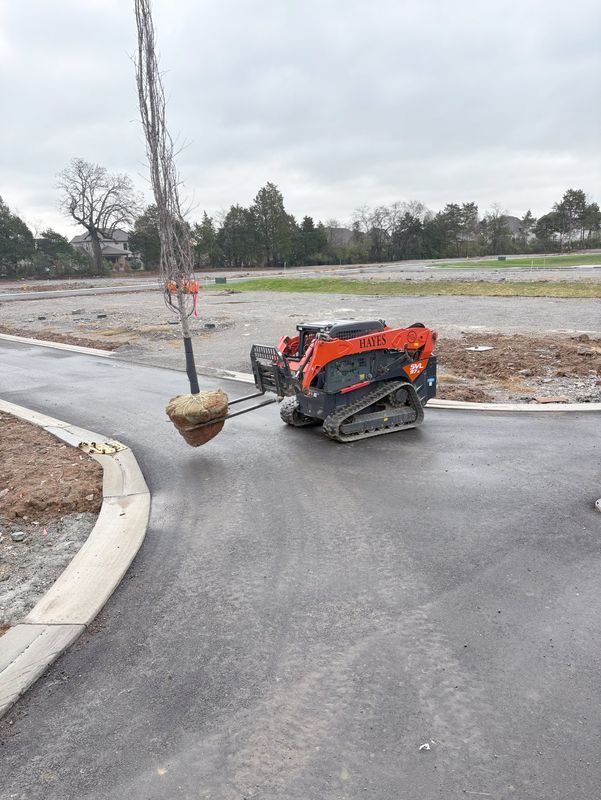Landscaping Berms
