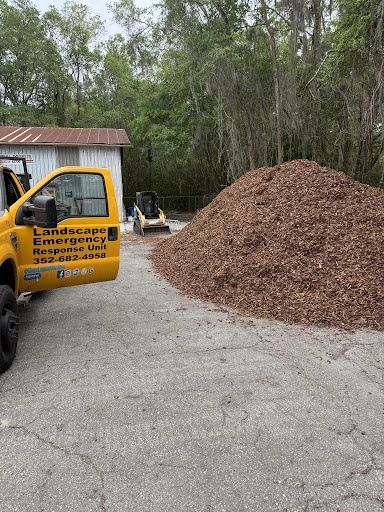 Landscape & Property Cleanup