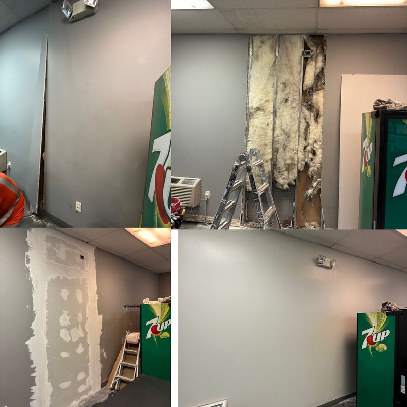Breathtaking Transformations with Albin Painting and Contracting