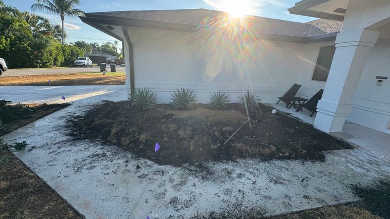Transforming South Florida's Outdoor Spaces: Tailored Landscaping Solutions