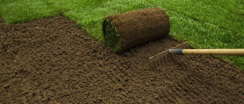 Sod Installation & Lawn Replacement
