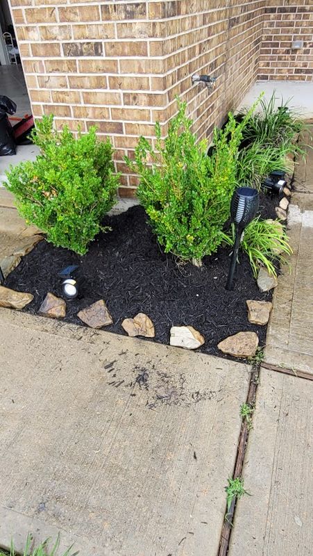 Mulch Installation