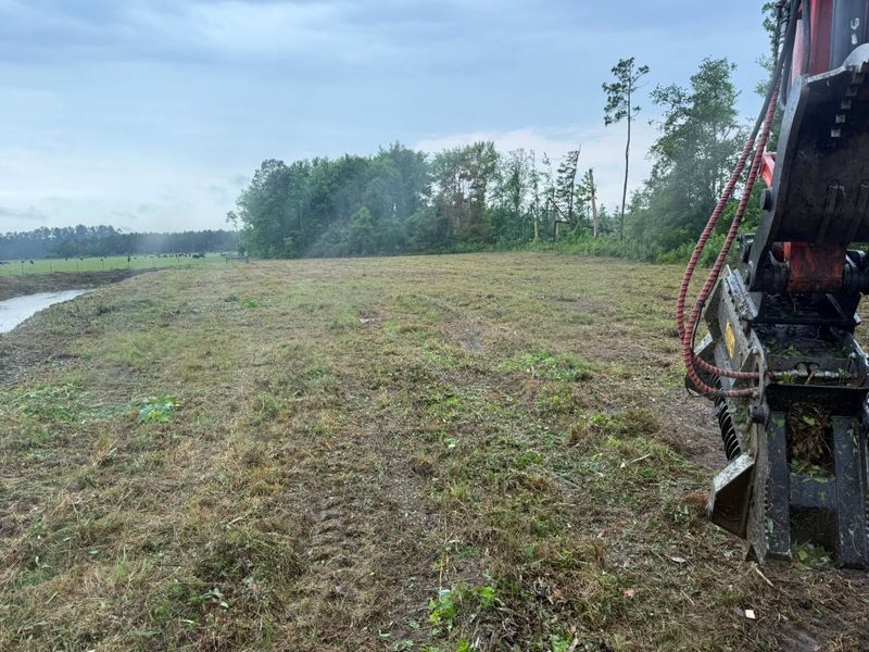 Land Clearing