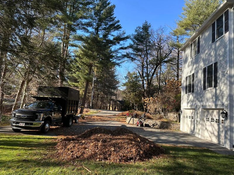 Landscaping