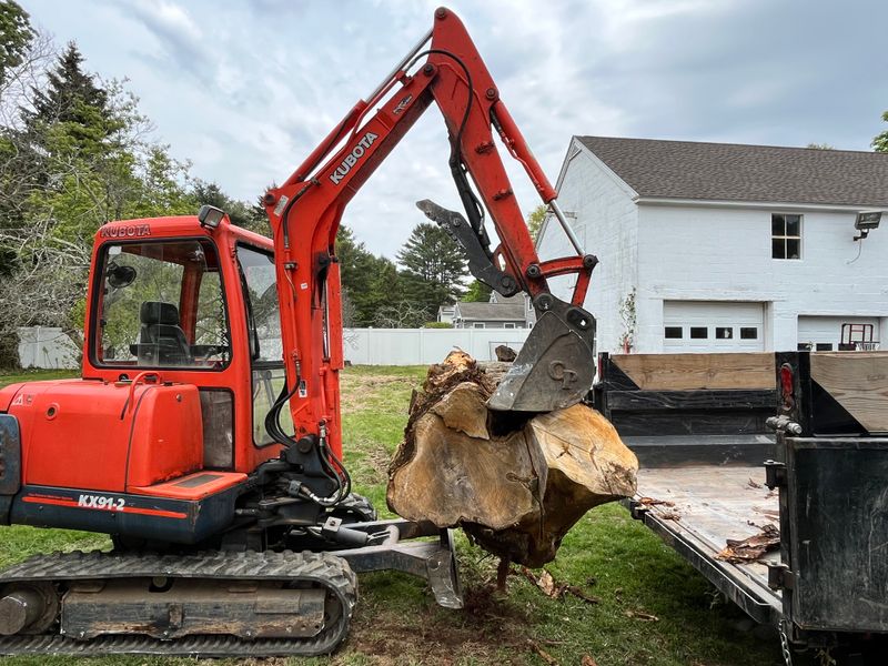 Debris Removal