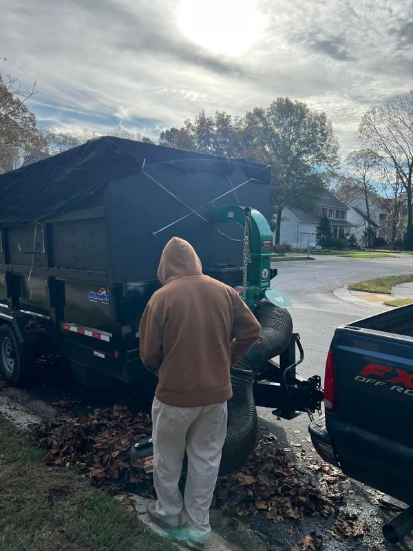 Fall Clean Up