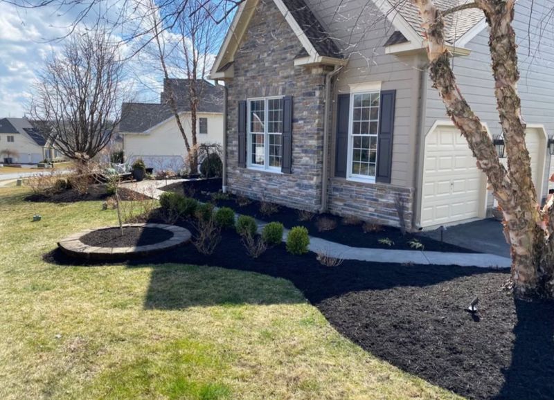 Shrub Pruning