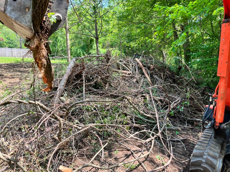 Brush & Tree Removal