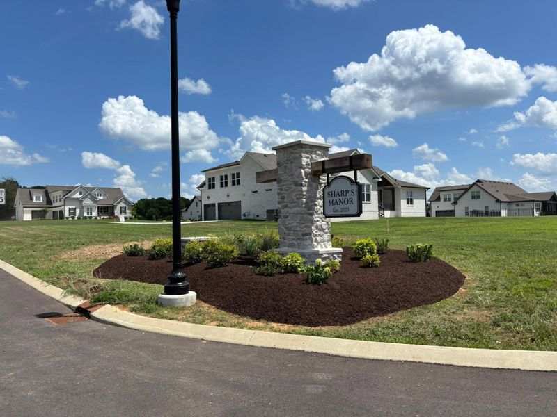 Landscape Maintenance