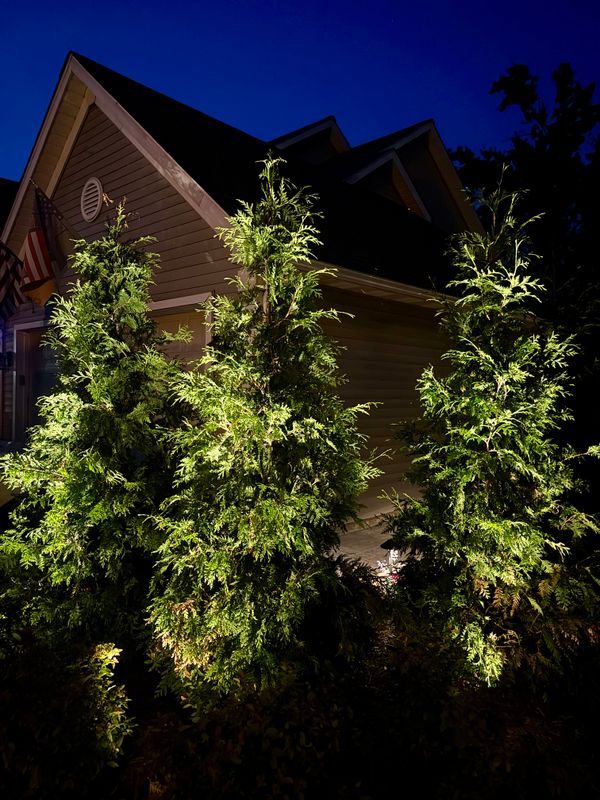 Landscape Lighting gallery
