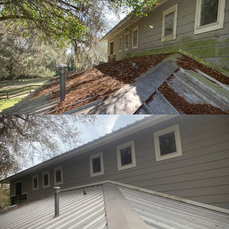Landscape & Property Cleanup