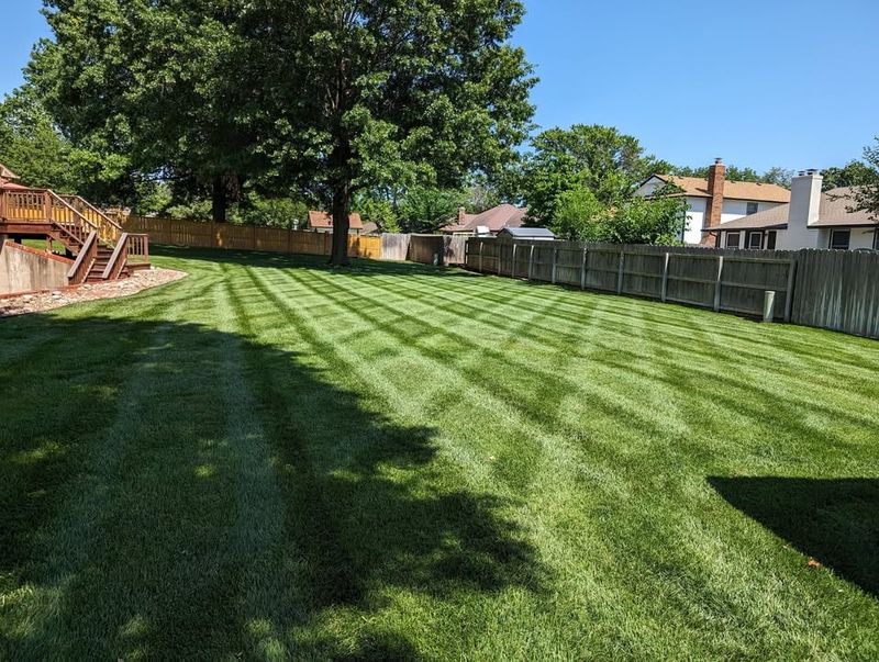 Lawn Care