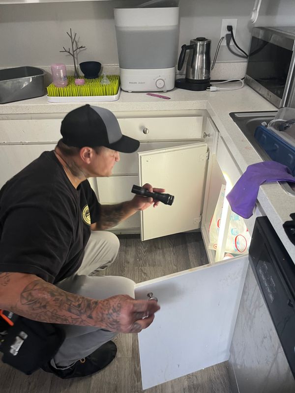 Home Inspections gallery