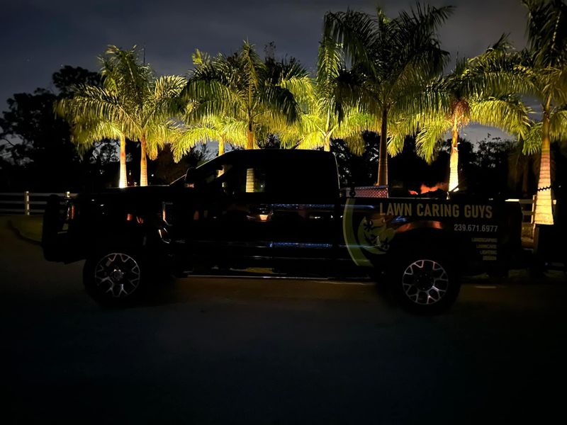 Landscape Lighting 