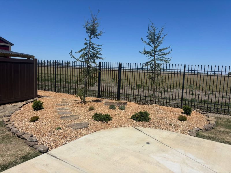 Landscape And Design