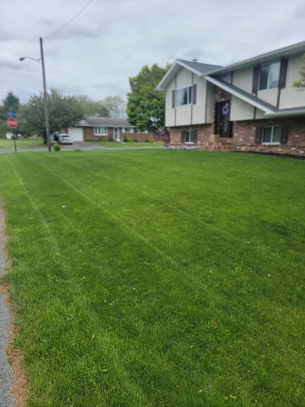 Lawn Care