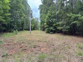 Forestry Mulching