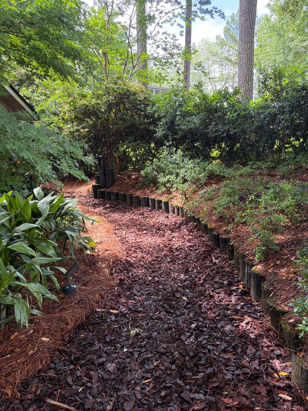 Landscape Design & Installation