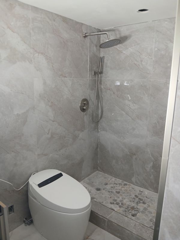 Toilet Repairs and Installation