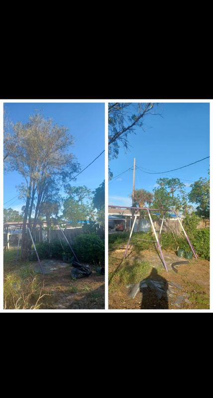 Tree Removal