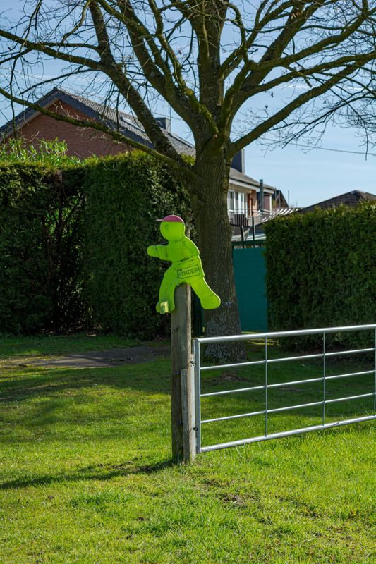 Tree Removal