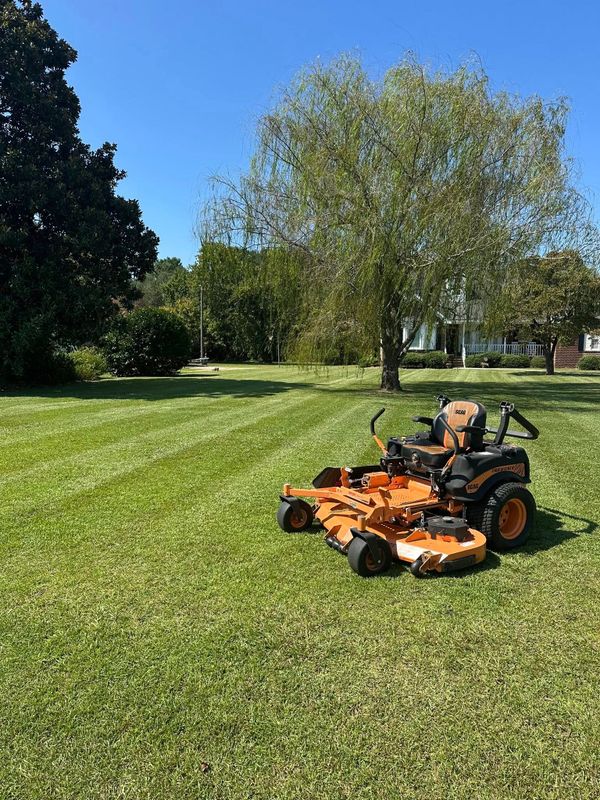 Lawn Maintenance