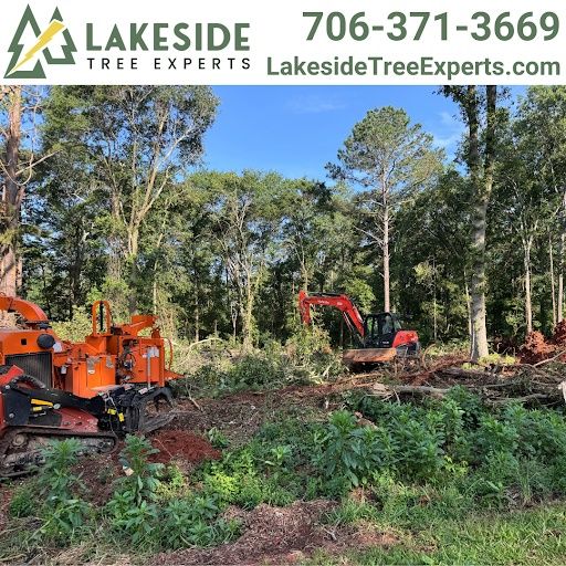 Land Clearing