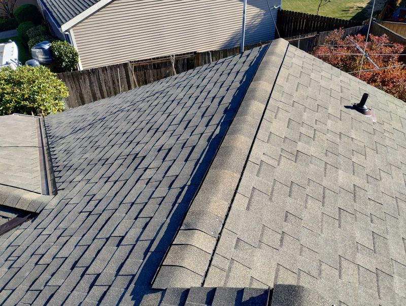 Roof Repairs
