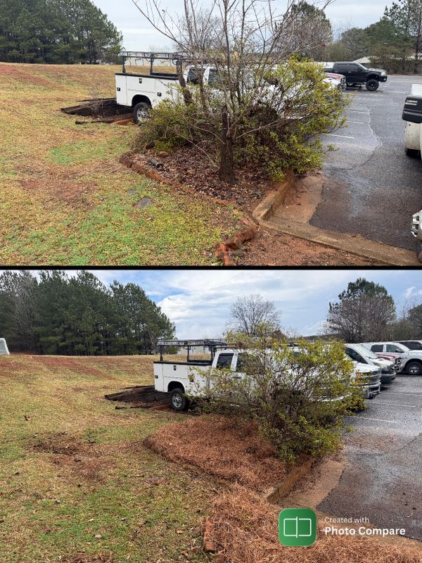 Before & Afters
