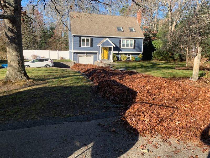 Fall CleanUp