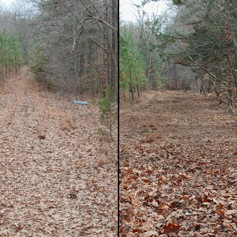 Forestry Mulching