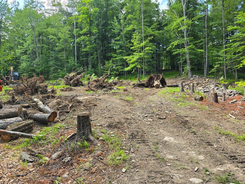 Land Clearing and Grading