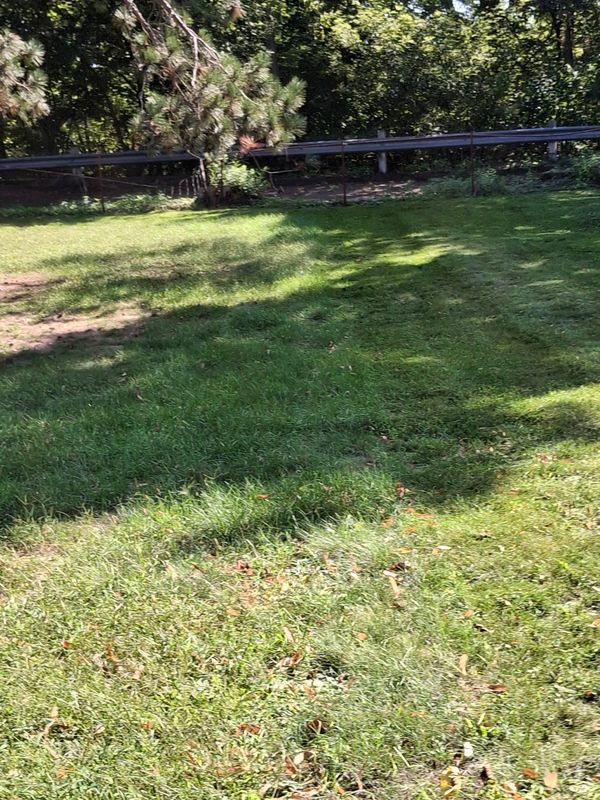 Lawn Maintenance