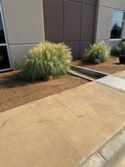 Commercial Lawn Maintenance