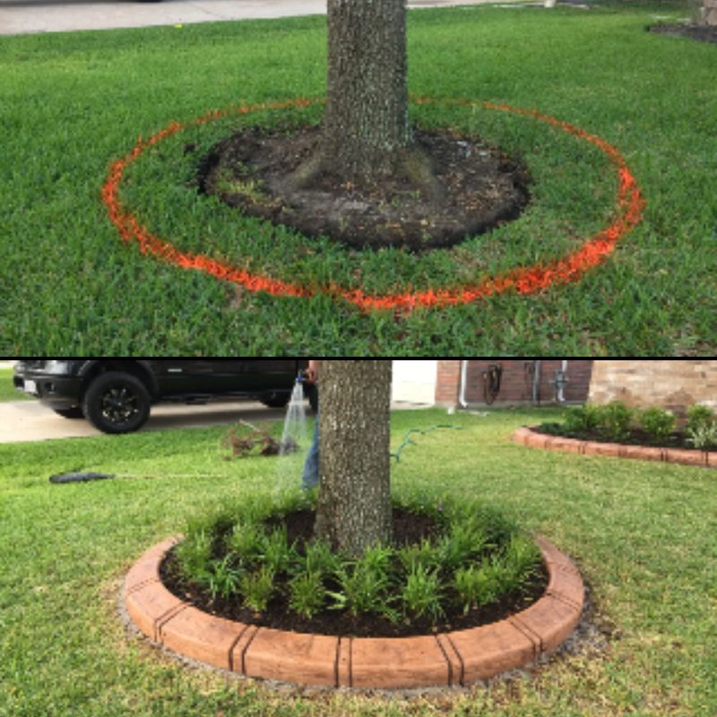 Before & Afters